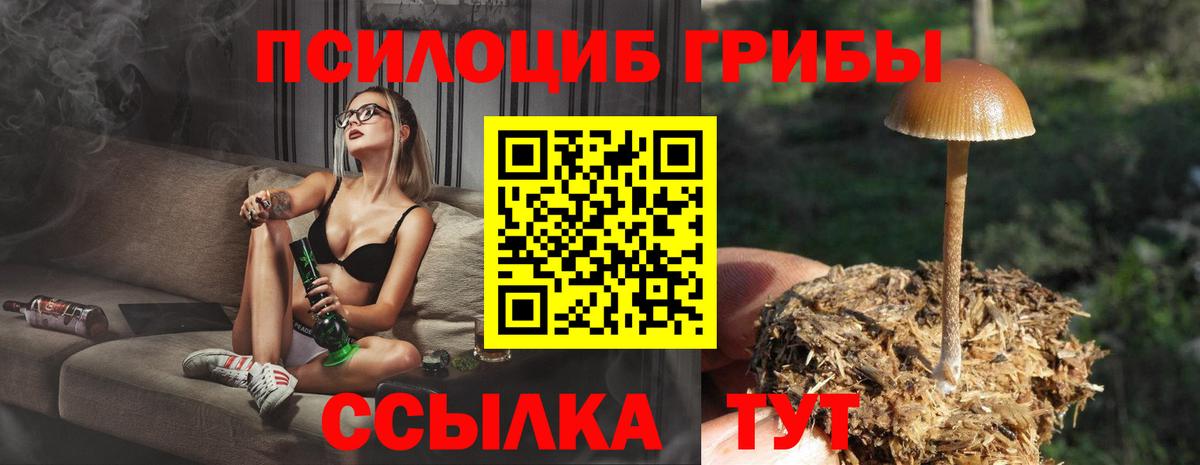 Домодедово  Галлюциногенные грибы прущие грибы  Вход с VPN 